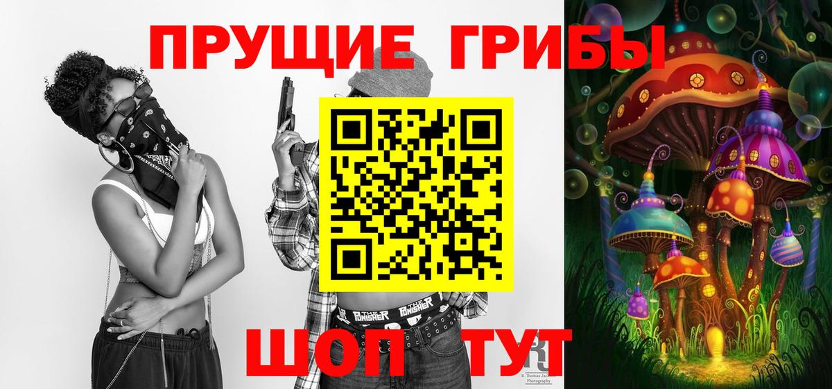 Псилоцибиновые грибы Psilocybe Строитель